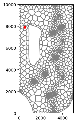 ../../_images/notebooks_part1_flopy_09-gwt-voronoi-demo_14_1.png