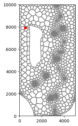 ../../_images/notebooks_part1_flopy_09-gwt-voronoi-demo_15_1.png
