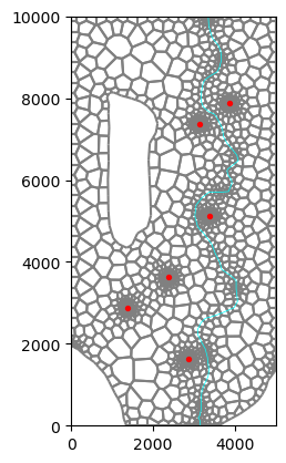 ../../../_images/notebooks_part1_flopy_solutions_06-Project-voronoi_18_0.png