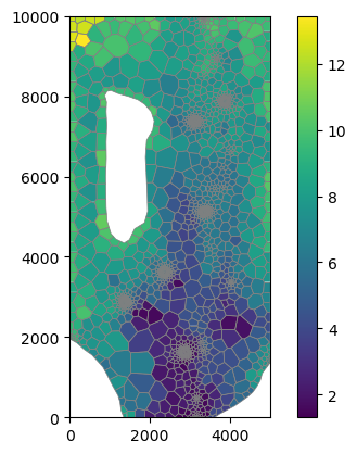 ../../../_images/notebooks_part1_flopy_solutions_06-Project-voronoi_41_0.png